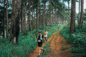 BIB: 
                            <button type="button" onclick="openModal(25740827)" class="btn btn-primary btn-sm float-right btn-popup" data-toggle="modal" data-target=".modal-high-quality">
                        <i class="fas fa-shopping-cart"></i> Add to Cart
                    </button>
                                            <button type="button" onclick="isThisMe(25740827, true)" class="btn btn-success btn-sm float-right btn-popup btn-isme hidden" data-toggle="tooltip" data-placement="bottom" title="นี่คือรูปของคุณใช่ไหม คลิกที่นี่เพื่อเอาเข้าอัลบั้ม">
                        <i class="fas fa-plus"></i> Add to album
                    </button>
                    <button type="button" onclick="isThisMe(25740827, false)" class="btn btn-warning btn-sm float-right btn-popup btn-isnotme hidden">
                        <i class="fas fa-ban"></i> Remove from album
                    </button>